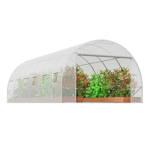Walk-in Tunnel Greenhouse, 19.4 x 9.7 x 6.5 ft. Hoop House with Galvanized Steel Frame, White Greenhouse, 2025 update