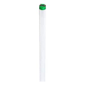 32-Watt 4 ft. Linear T8 Fluorescent Tube Light Bulb Cool White (4100k) (30-Pack)