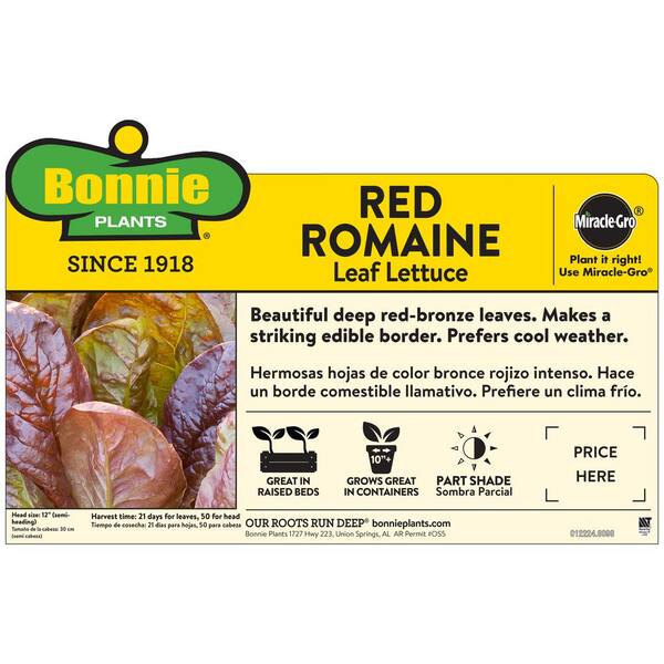 Bonnie Plants 6pk Lettuce Romaine Red 0054 The Home Depot
