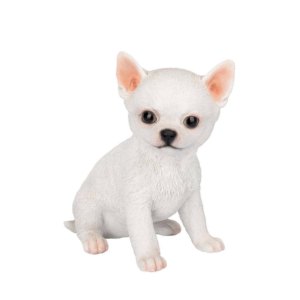 SoReal White Chihuahua price history on PriceWatchPro