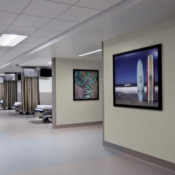 5 gal. #BNC-04 Comforting Gray Eggshell Interior Paint