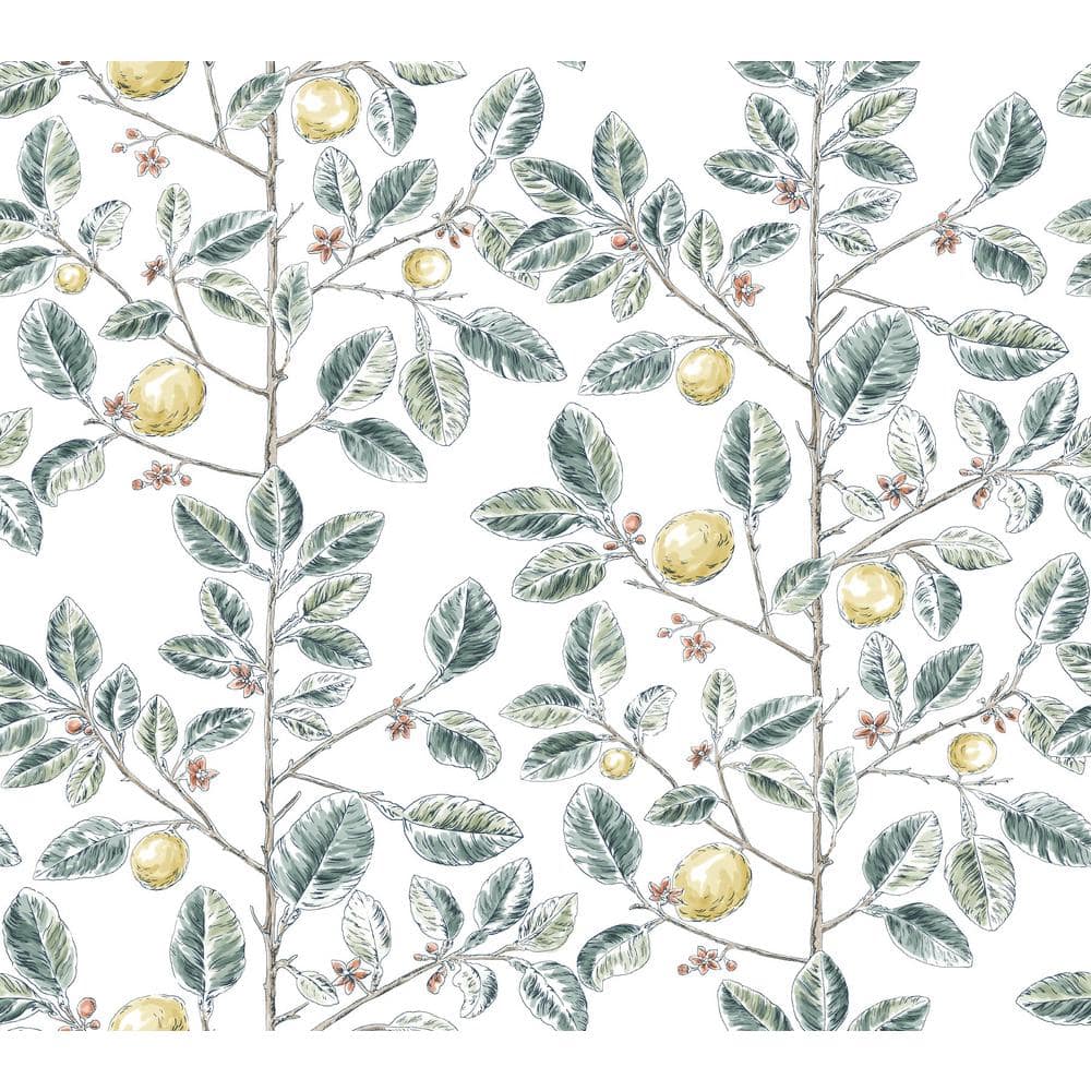 Limoncello Toile Forest Wallpaper Roll price history on PriceWatchPro