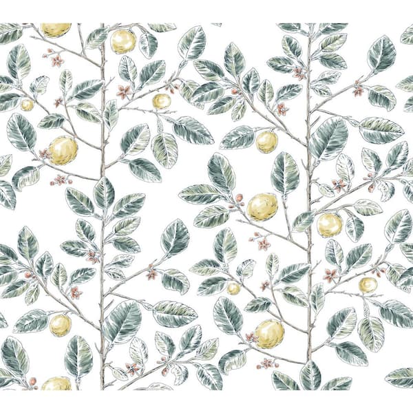 York Wallcoverings Limoncello Toile Forest Wallpaper Roll