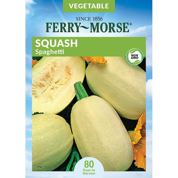 Ferry-Morse Squash Vegetable Spaghetti Fruit Seeds