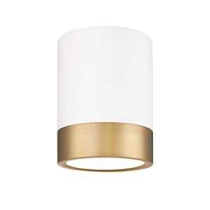 Algar 6 in. Matte White Plus Modern Gold Integrated LED Flush Mount with Frosted Acrylic Shade (1-Pack)