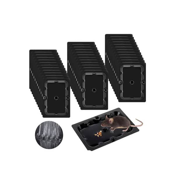 Indoor Strong Sticky Non Toxic Mouse Insect Glue Trap Pre Scented Rodent Pads Safe for Children and Pets 36-Pack