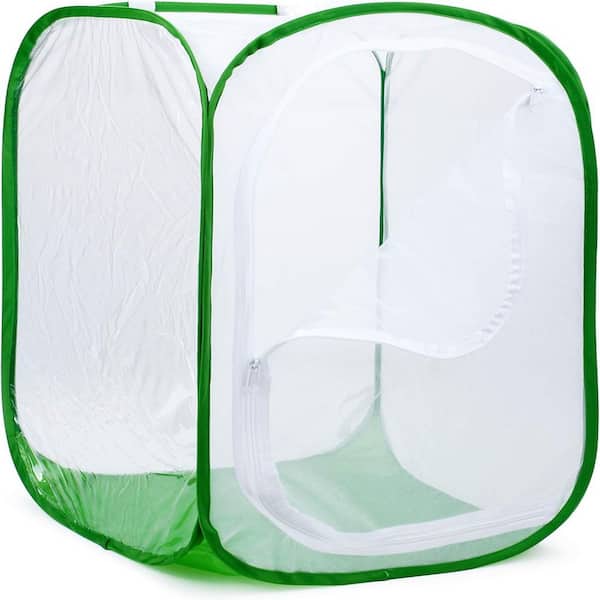5 ft. Monarch Butterfly Habitat, Giant Collapsible Insect Cage Terrarium Pop Up (White + Green, 35 x 35 x 59 in.)