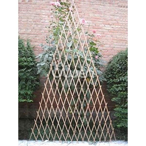48 in. x 16 in. Peeled Willow Expandable Fan Trellis