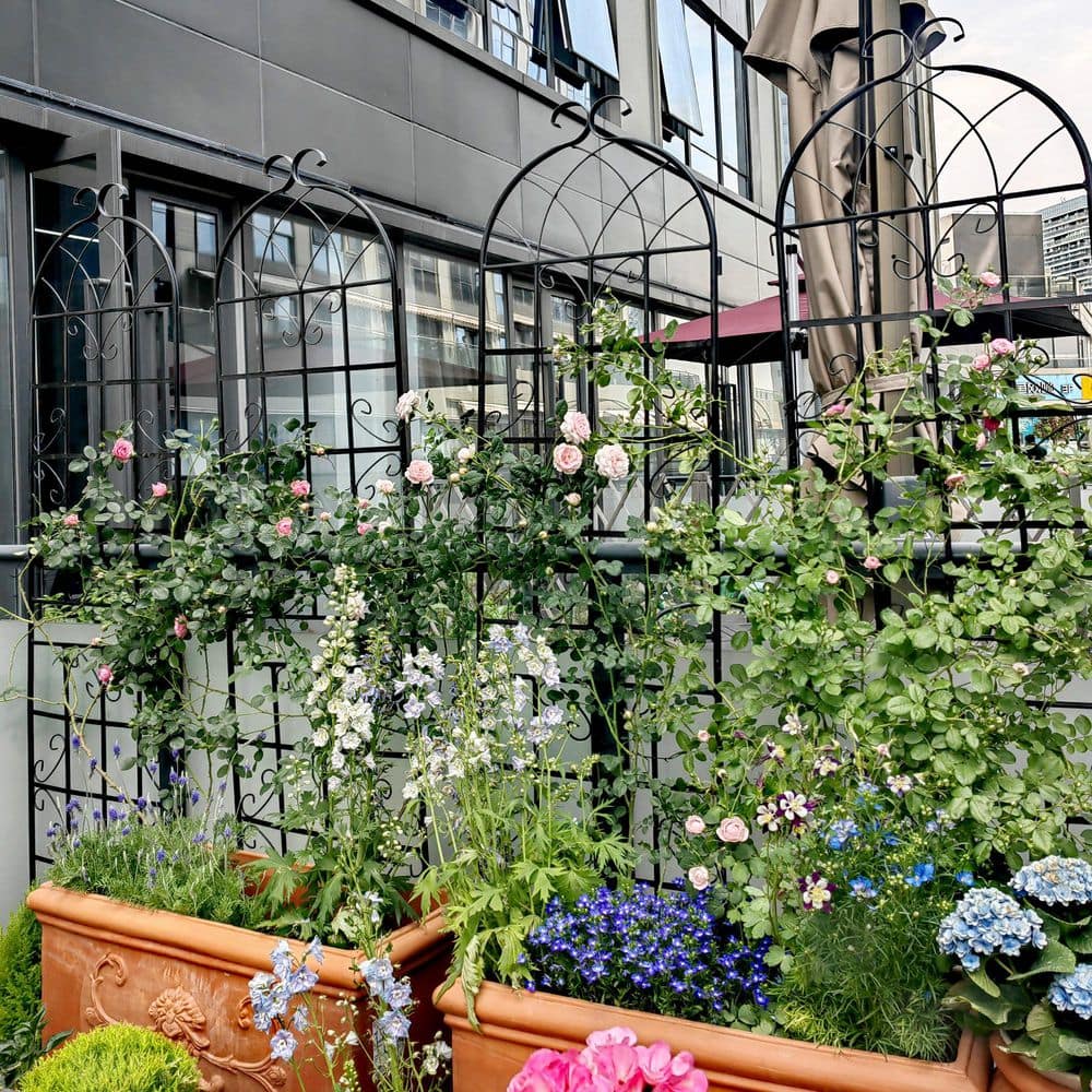 Black Metal Garden Trellis for Climbing Plants, 71" x 80"