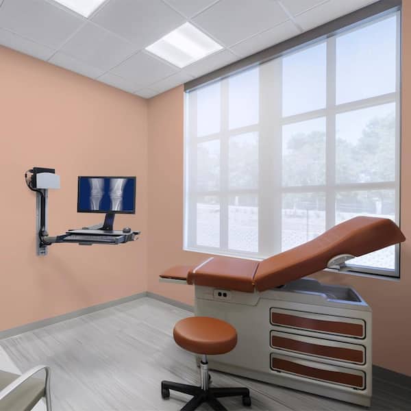 5 gal. #S200-4 Chestnut Bisque Dead Flat Interior Paint