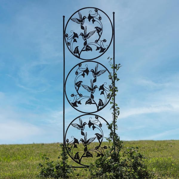 Evergreen Enterprises 80 in. Hummingbird Trio Metal Garden Trellis