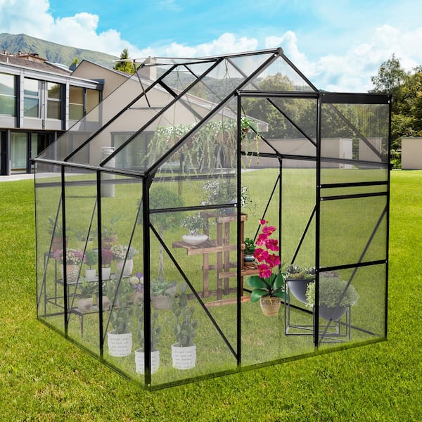 75 in. W x 75 in. D x 77 in. H Outdoor Backyard Black Aluminum Frame Walk-In Polycarbonate Greenhouse
