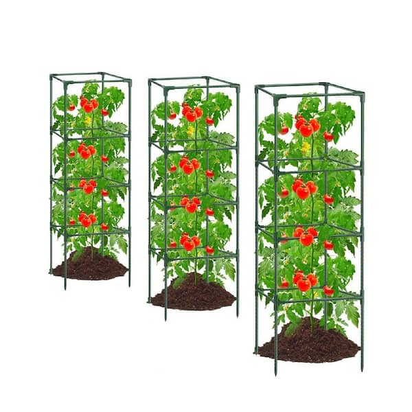 57 in. Green Plastic TSquare Tomato Plant Cage 3-Pack