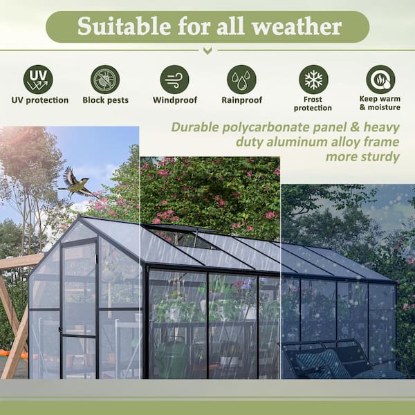 Polycarbonate Walk-in Greenhouse 6.2 ft. W x 12.4 ft. D x 6.7 ft. H Aluminum Double Door Black Greenhouse
