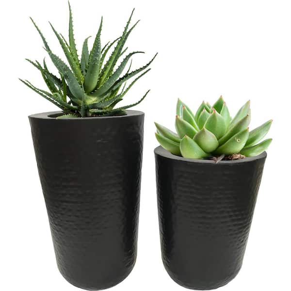 Renwil Jamin 19 in. x 12 in. Black Powder Coated Iron Planter (Set of 2)