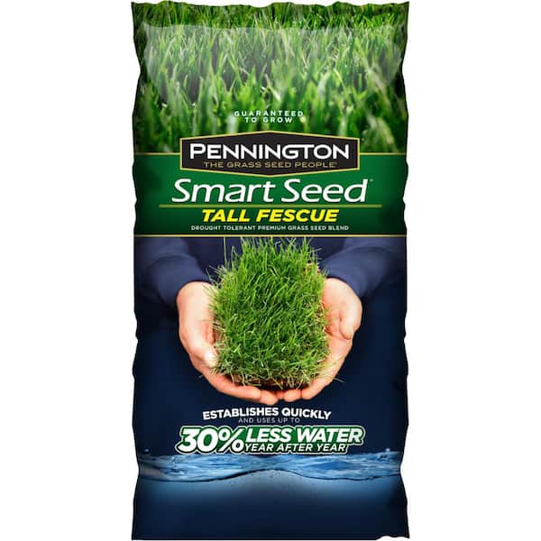 Pennington 3 lbs. Tall Fescue Shade Grass Seed PC Mix