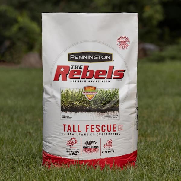 pennington the rebels 20 lbs tall fescue grass seed blend 100543730 the home depot