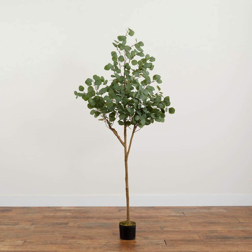 6-Foot Artificial Eucalyptus Tree in Black Plastic Pot