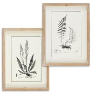 15.75 in. H x 11.75 in. W Black and White Fern Art in Wooden Frames (Set of 2)