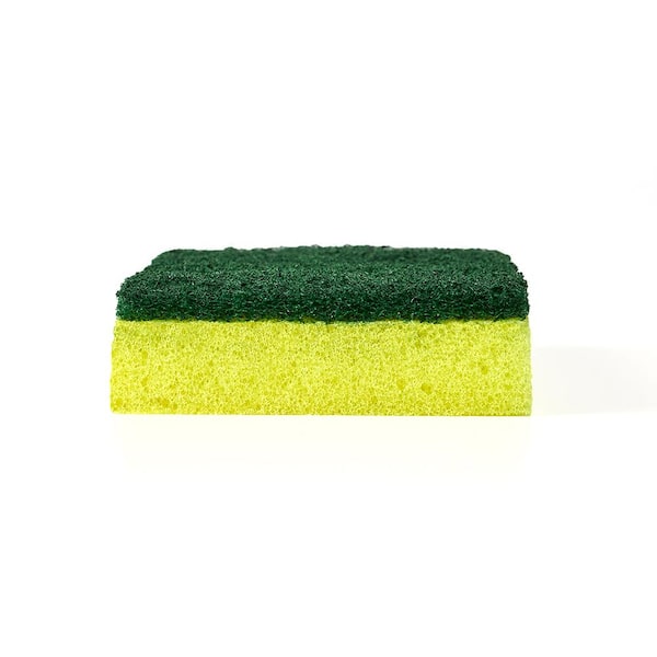 E-G Sponges ($2.39 Per Sponge) – E G Formula
