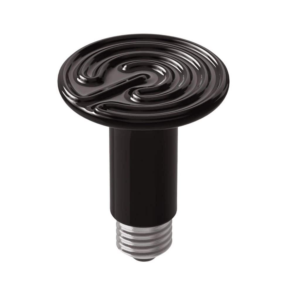 150-Watt Black Reflector E26 Heat Bulb for Bearded Dragon Turtle Snake Lizard(2-Pack) price history on PriceWatchPro