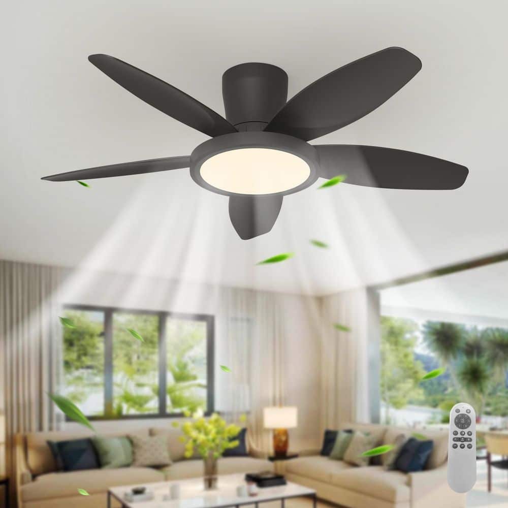 42 in. Modern Black 5 Blades 6-Speed Dimmable Standard Flush Mount Ceiling Fan with Light & Remote Included for Bedroom price history on PriceWatchPro