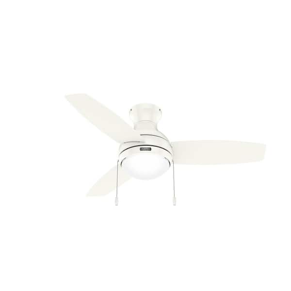 Hunter Betsy 44 in. Indoor Fresh White Ceiling Fan with Light Kit Hardware Included
