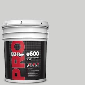 5 gal. #N520-1 White Metal Flat Exterior Paint