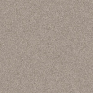 Coastal Charm II Color Tawny Beige 56 oz. Nylon Texture Installed Carpet