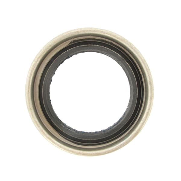 SKF Wheel Seal - Rear