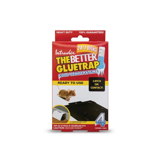 Intruder The Better Gluetrap Cold Temperature Mouse Size (Pack of 4)