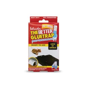 Intruder The Better Gluetrap Cold Temperature Mouse Size (Pack of 4)