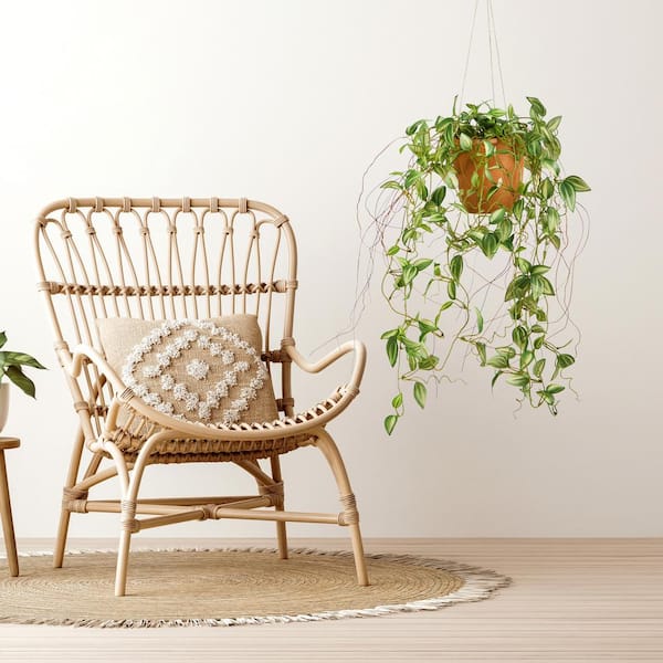 Nearly Natural 24in. Artificial Pothos Plant in Hanging Planter