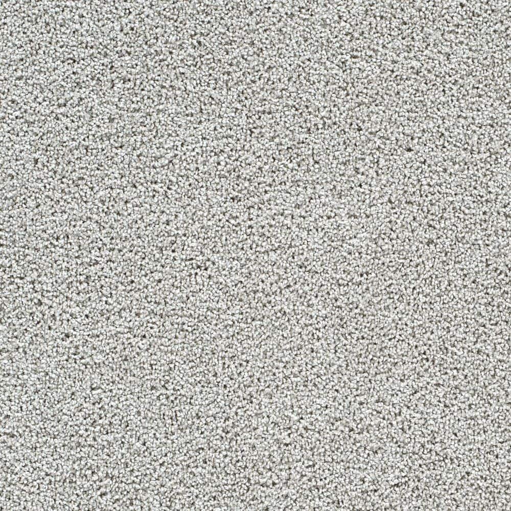 8 in. x 8 in. Texture Carpet Sample-Easel-Color Paintbrush price history on PriceWatchPro