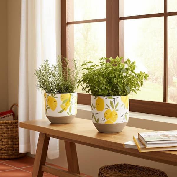 design flower pot 6 植木鉢 Liv & Skye 6 in. and 7 in. Yellow Ceramic Growing Lemons