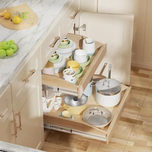 19.5 in. W x 21 in. D 2-Tier Space Saver Wood Pull-Out Organizer with Hard Close