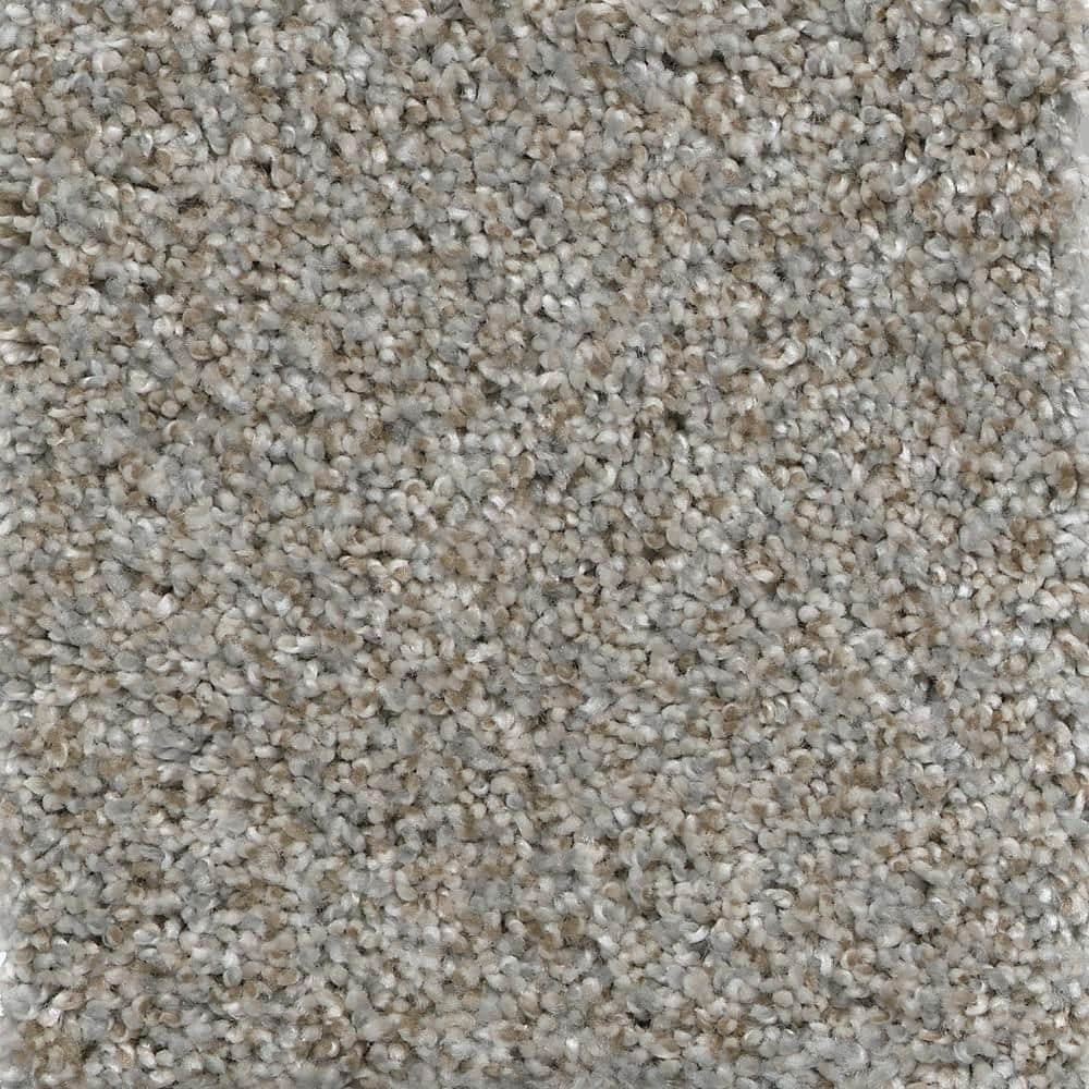 Home Decorators Collection 8 in. x 8 in. Texture Carpet Sample Trendy