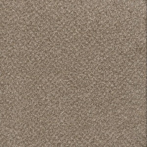 Dream Wish - Goal - Beige 32 oz. SD Polyester Texture Installed Carpet