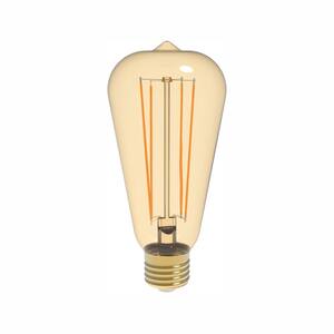 40W Equivalent Warm White (2200K) ST19 Dimmable Amber LED Light Bulb