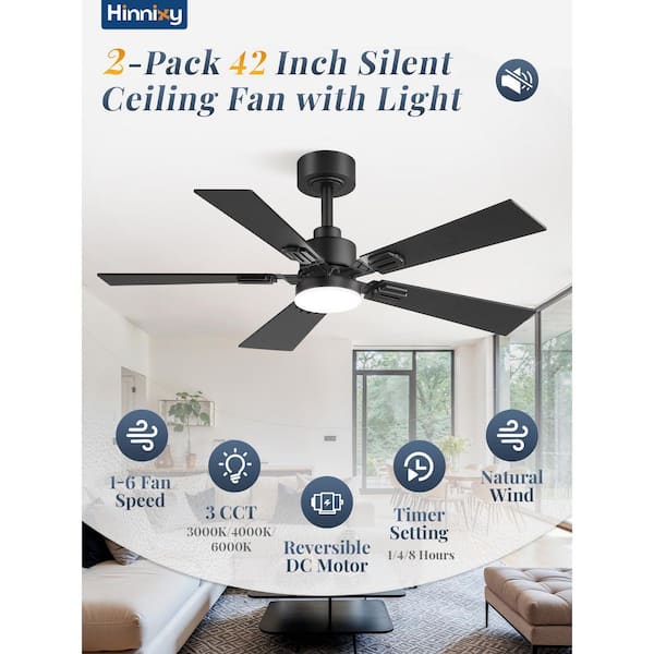 2-Pack 42 in. Indoor/Outdoor Black Standard Downrod Mount Ceiling Fan with Itegrated LED and Remote Control, DC Motor