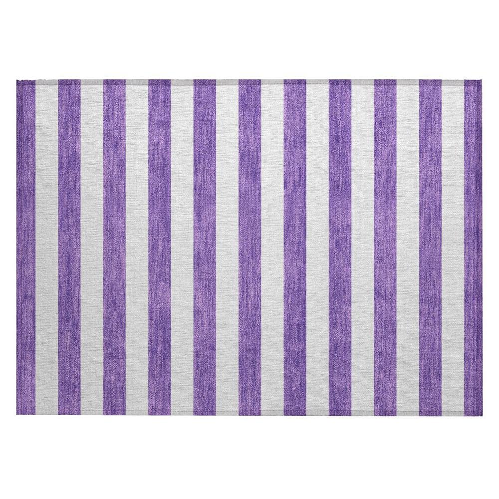 Purple and White 2 ft. x 3 ft. Woven Striped Polyester Rectangle Indoor/Outdoor Area Rug price history on PriceWatchPro