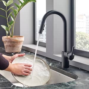 Align Single-Handle Pull-Down Sprayer Kitchen Faucet with Reflex and Power Clean in Matte Black