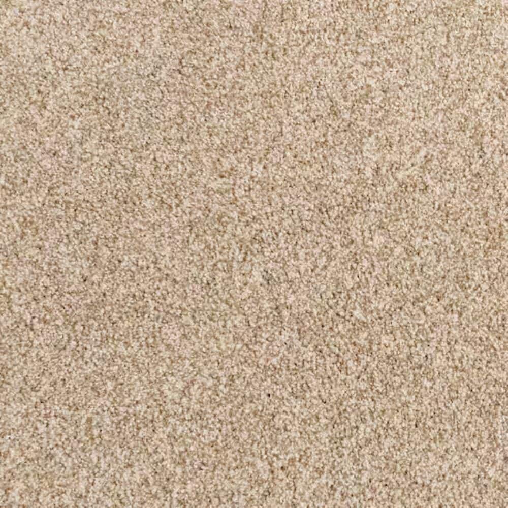 8 in. x 8 in. Texture Carpet Sample-Heartfelt Fashion-Color Beach Scene price history on PriceWatchPro