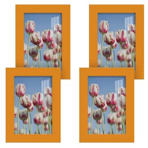 Modern 5 in. x 7 in. Orange Picture Frame (Set of 4)