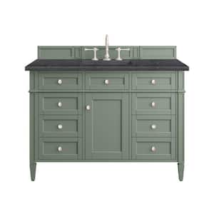 Brittany 48.0 in. W x 23.5 in. D x 33.8 in. H Bathroom Vanity in Smokey Celadon with Charcoal Soapstone Quartz Top