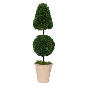 Potted Cone and Ball Artificial Boxwood Green/Cream Small Topiary
