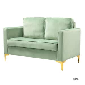 Belinda 51 in. Sage Rose Golden Polyester 2-Seats Loveseats Velvet Sofa with Golden Base