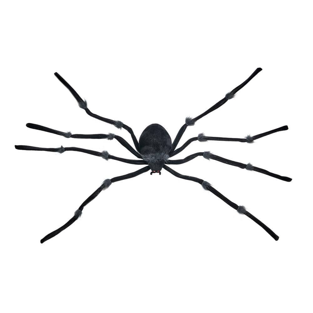 Oakland Spiders 3/4 Sleeve- Black
