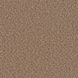Added Value - Investment - Beige 24 oz. SD Polyester Texture Installed Carpet