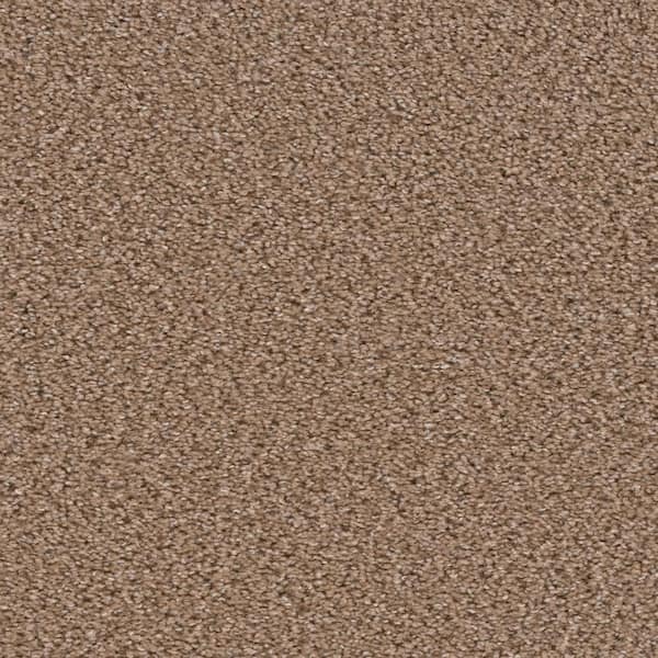 TrafficMaster Added Value - Investment - Beige 24 oz. SD Polyester Texture Installed Carpet